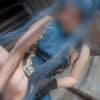 Thumbnail of related posts 173