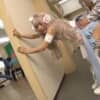 Thumbnail of new posts 136