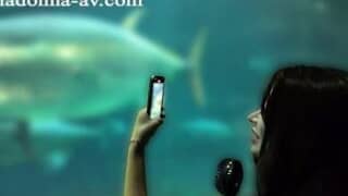 Thumbnail of post image 048